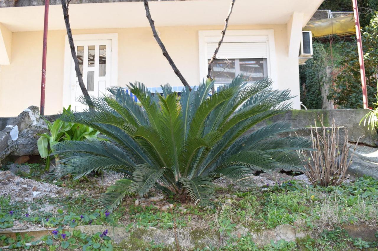 Old Town Studios Budva Zewnętrze zdjęcie