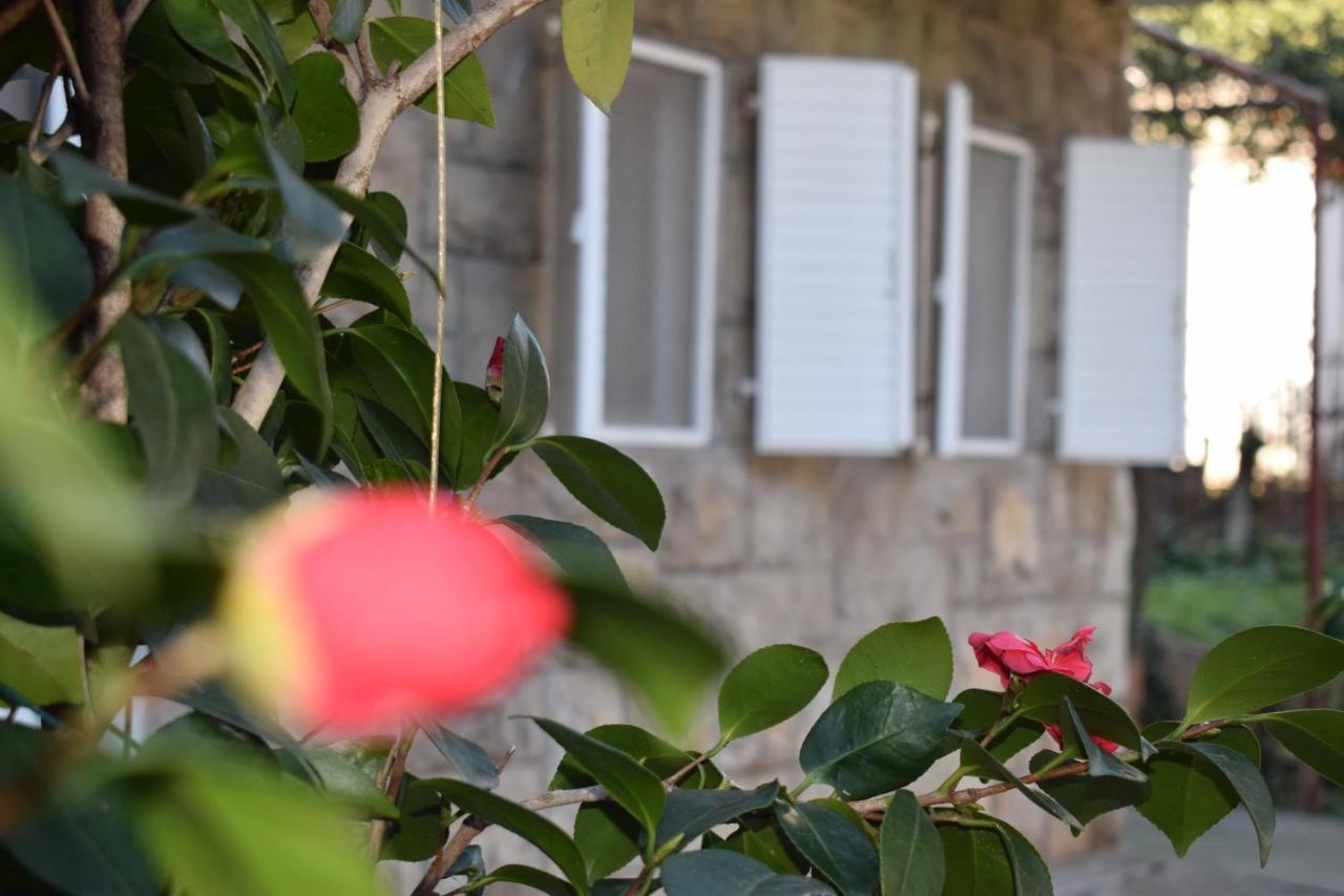 Old Town Studios Budva Zewnętrze zdjęcie